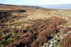 Iron Mountain Trail - 'Llwybr Mynydd Haearn' - Part 2