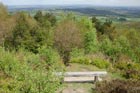 Photo from the walk - Gibbet Hill & the Devil's Punch Bowl from Haslemere