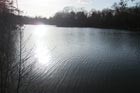 Photo from the walk - Snaresbrook to Loughton (Epping Forest)