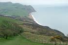 Photo from the walk - Golden Cap from Seatown