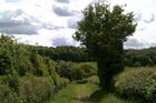Photo from the walk - Chalfont and Latimer to Chorleywood via Flaunden
