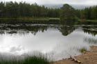Photo from the walk - Loch an Eilein & Rothiemurchus Forest