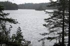 Photo from the walk - Loch an Eilein & Rothiemurchus Forest