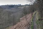 Photo from the walk - Churnet Valley from Consall Nature Park