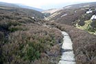 Photo from the walk - Bleaklow & The Longendale Trail from Woodhead