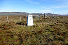 Photo from the walk - Cushat Law and Bloodybush Edge from Hartside