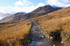 Photo from the walk - Loch Affric Circular