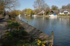Photo from the walk - Staines to Windsor along the River Thames