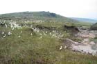 Photo from the walk - Blackstone Edge and the Pennine Way without a car