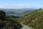 Photo from the walk - Stowe & Offa's Dyke from Kinsley Wood