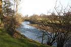 Photo from the walk - River Ure & Nutwith Common from Masham
