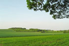 Photo from the walk - Watership Down and Ladle Hill from the Sydmonton Estate
