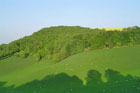 Photo from the walk - Watership Down and Ladle Hill from the Sydmonton Estate
