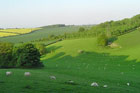 Watership Down and Ladle Hill from the Sydmonton Estate