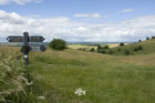 Photo from the walk - Ivinghoe Beacon from the Ashridge Estate