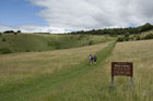 Photo from the walk - Ivinghoe Beacon from the Ashridge Estate