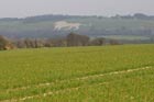 Ivinghoe Beacon and the Bridgewater Monument from Tring
