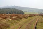 Photo from the walk - Linley Hill and Linley from The Bog