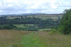 Photo from the walk - Highley from the Severn Valley Country Park