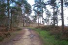 Photo from the walk - Leith Hill circular
