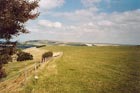 Photo from the walk - Upper Beeding to Washington by the South Downs Way