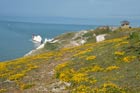 Photo from the walk - The Needles & Tennyson's Monument from Nodewell Farm