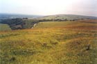 Photo from the walk - Wolstonbury Hill and Pyecombe from Patcham