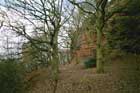 Photo from the walk - Cheshire Lanes and Woodhouse Hill Fort