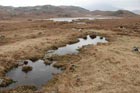 Photo from the walk - Eel Tarn and Stony Tarn from Eskdale