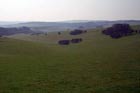 Photo from the walk - Falmer to Pyecombe & Blackcap by South Downs Way