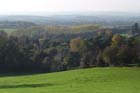 Photo from the walk - Walton & Clent Hills from Nimmings Wood