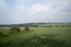 Photo from the walk - Nazeingwood Common from Epping Green