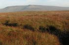 Photo from the walk - Bleaklow & Higher Shelf Stones from the Snake Pass