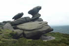 Photo from the walk - Bleaklow Stones from King's Tree, Derwent Valley