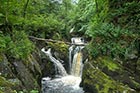 Photo from the walk - Ingleton Waterfalls Walk from Ingleton