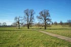 Photo from the walk - Wimpole Park and Whaddon