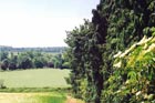 Photo from the walk - Circular from Ampthill through Steppingley