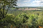 Photo from the walk - Kinver Edge & Holy Austin Rock