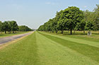 Photo from the walk - Windsor Great Park from Windsor