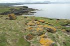Handa Island - Scottish Wildlife Trust