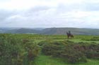 Photo from the walk - The Hergest Ridge and Huntington from Kington