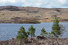 Photo from the walk - Loch Lundie from Invergarry