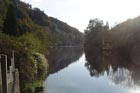 Photo from the walk - Symonds Yat Rock and the Biblins