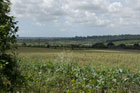 Photo from the walk - Amberley Mount and Wepham Down from Burpham