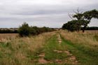 Photo from the walk - Holme next the Sea and Thornham