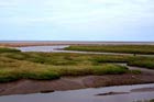 Photo from the walk - Holme next the Sea and Thornham