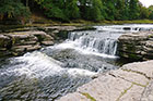 Photo from the walk - Aysgarth Falls and Caperby