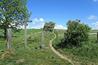 Photo from the walk - Rackham Hill & Kithurst Hill Circular