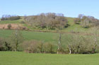 Photo from the walk - West Compton & North Wootton from Pilton