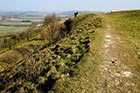 Photo from the walk - Beacon Hill near Burghclere